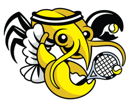 MA - Newton mascot